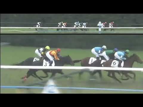 2017.11.19 2yo Newcomer (JPN) - Franz