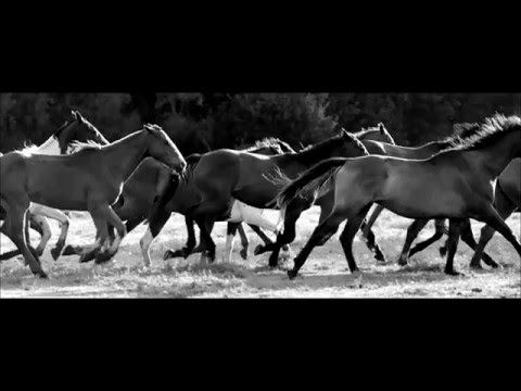 Jean Clemence - Infinity (Ula Remix) Ternary Recordings