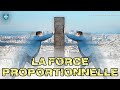 LA FORCE PROPORTIONNELLE - DIMANCHE 05/05/2024