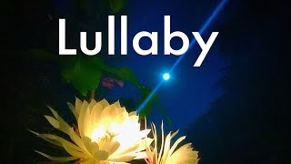 Sad Lullaby Music - Orchestra Piano Instrumental for Babies Children Kids Happy