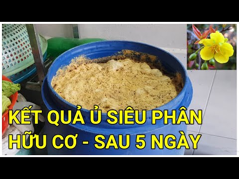 🔴 QBS22121 - KẾT QUẢ Ủ PHÂN HỮU CƠ || SIÊU PHÂN HỮU CƠ CHO CÂY CẢNH - LIÊN HỆ ĐẶT HÀNG 0942456100