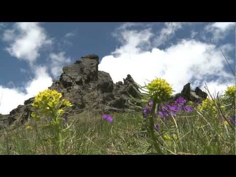 Një Rreze mbi Sharr #1 (Sunshine Over Sharr Mountain - Clip #1 Official)