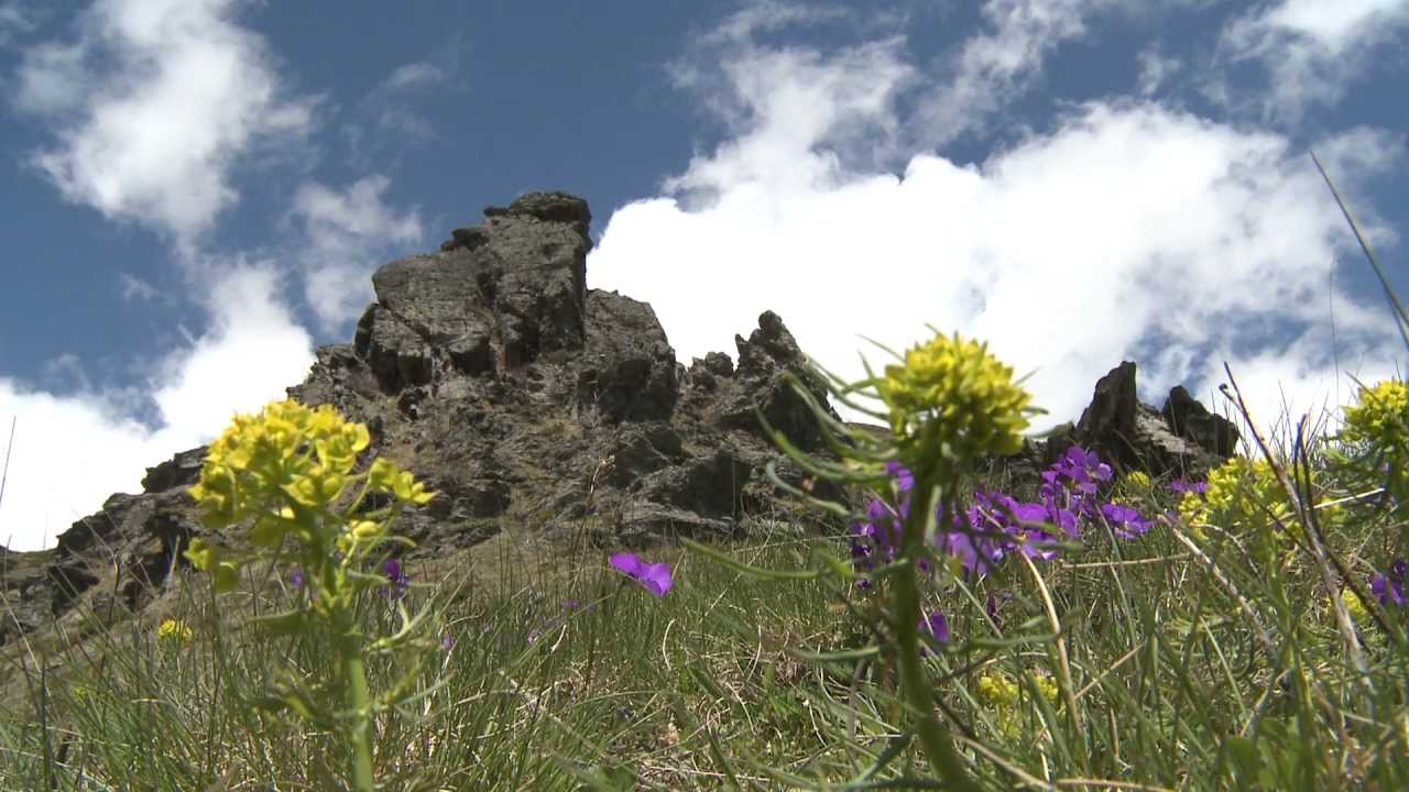 Një Rreze mbi Sharr #1 (Sunshine Over Sharr Mountain - Clip #1 Official)