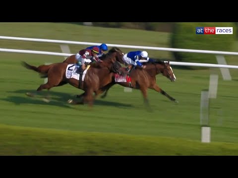 Perfectly timed ride! EL CORDOBES wins the Sword Dancer Stakes at Saratoga!