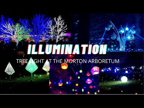 Illumination: Tree Lights at the Morton Arboretum 2021...