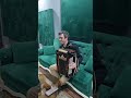 Hora Miscata Medley, Oltenia and Hora Caval în Bucharest