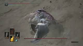 [黑魂] 卡關蓋爾的第8天