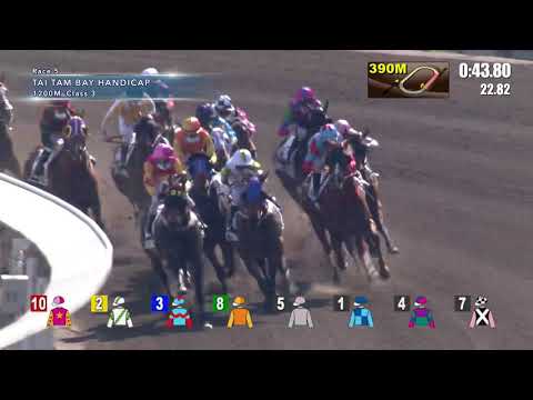 Hong Kong Race Replay | Sha Tin | January 31, 2021