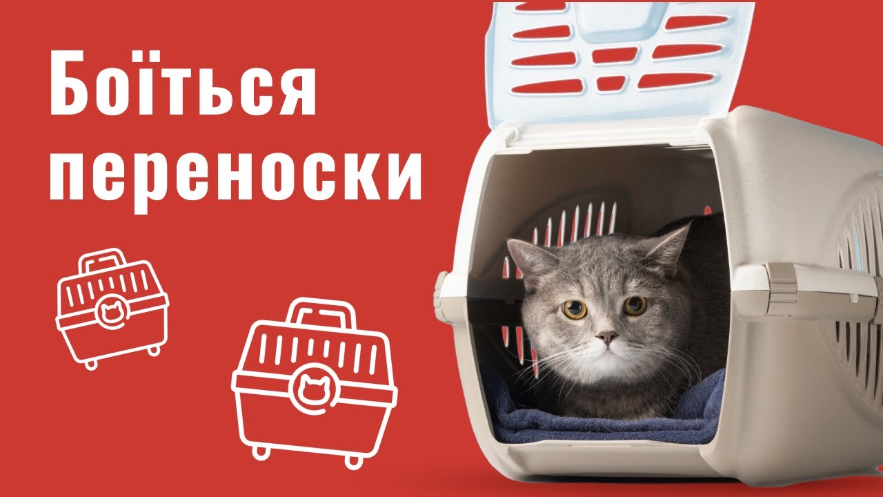 YouTube video preview