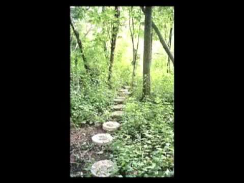 Chris Robinson and New Earth Mud - Mother of Stone