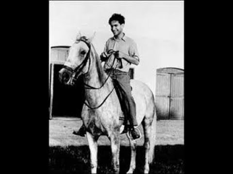 Mikhail Tal Vs F Norman Stephenson 1964