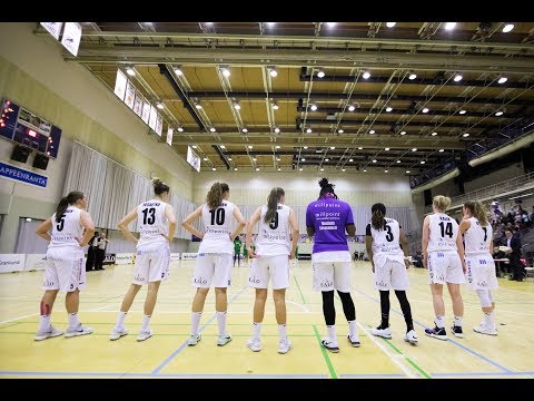 Villikissojen Yö | Lappeenrannan Catz 2019