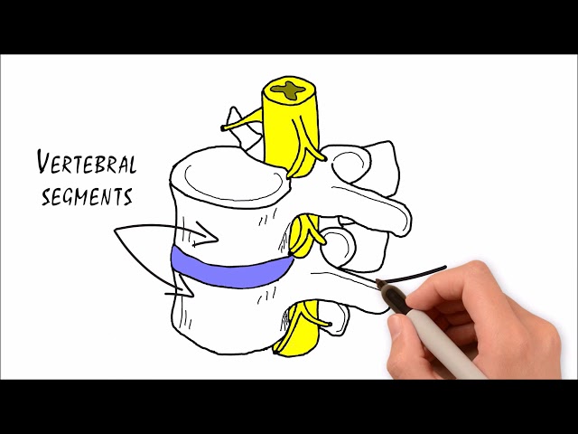 Carter Chiropractic & Dubbo Acupuncture - Dubbo, NSW