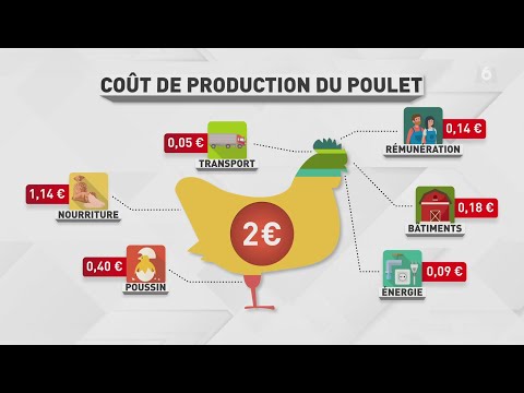 , title : 'Capital - Nutriscore et securite alimentaire : savons-nous vraiment ce que nous mangeons ?'