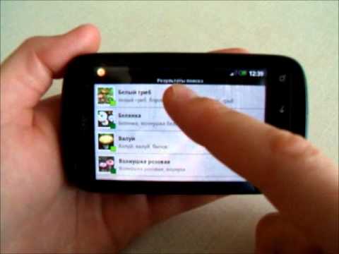 Грибы Беларуси FREE Video