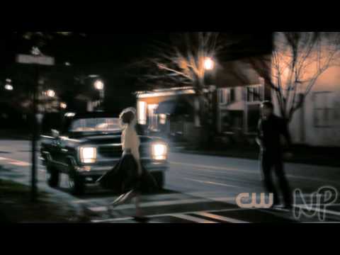 The Vampire Diaries // Cast - Shake It