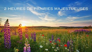2 Heures de Prairies Majestueuses – Vidéo Relaxante pour la Démence, Alzheimer et les Aidants
