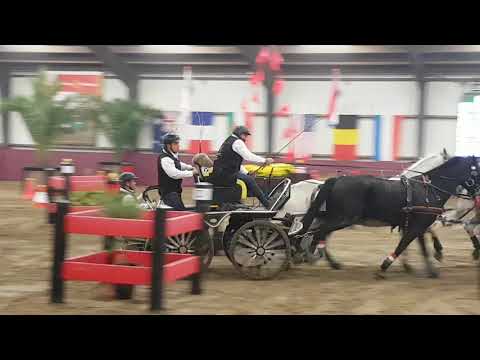 Indoor Stal de Ronde 2018: Joszef Dobrovitz