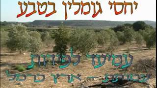 יחסי גומלין בטבע