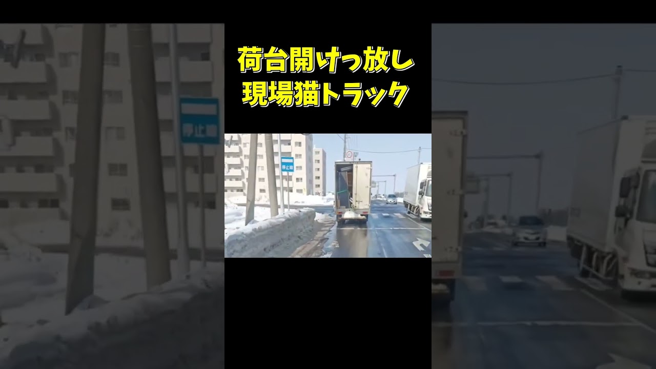 荷台開けっ放し！現場猫の運搬トラック #shorts #ドラレコ