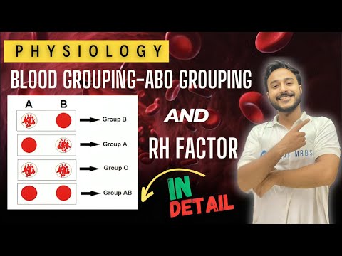 | abo blood group physiology | rh antigen physiology | Erythroblastosis fetalis | physiology |