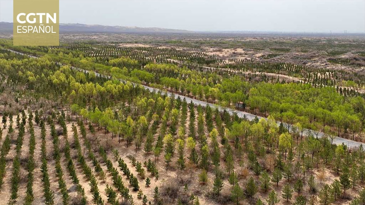 Conmemoran el Día Mundial de Lucha contra la Desertificación y la Sequía