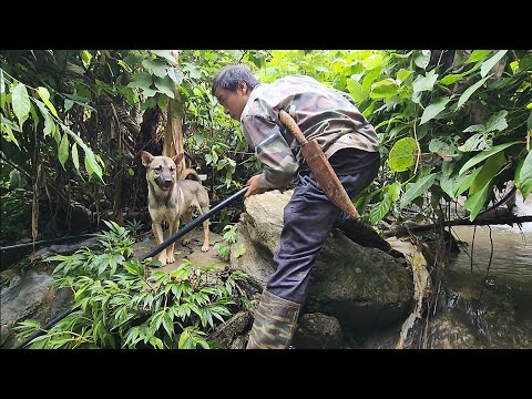 The work of a heavy stormy day, Survival instincts, Building a life (EP 183)