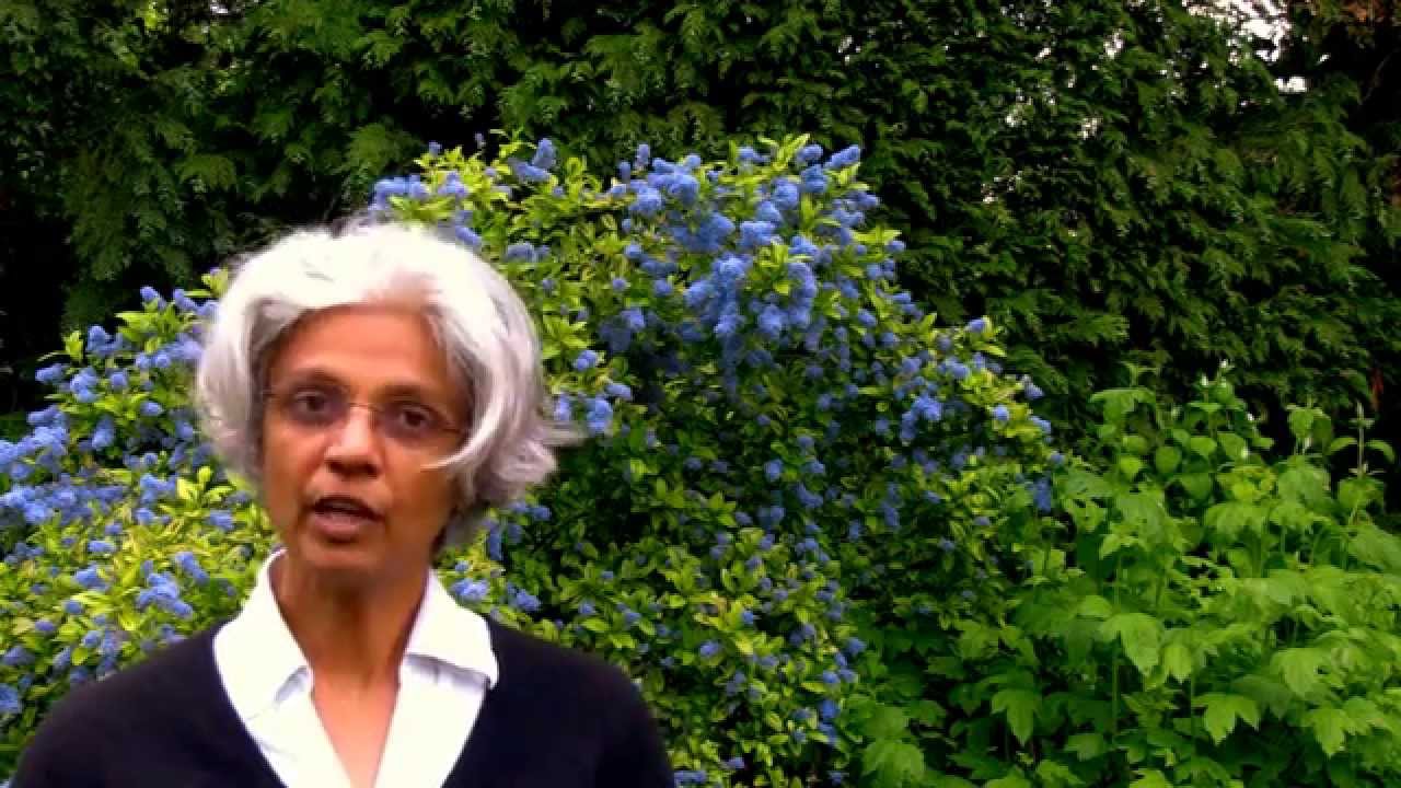 Why rural communities matter