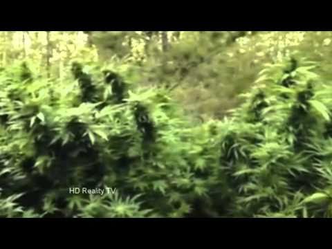 POLICE IN HELICOPTER John Holt  ft. 6BLOCC - & Million Stylez REGGAE DUBSTEP REMIX