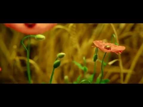 Nothing is Impossible - The beautiful planet Earth