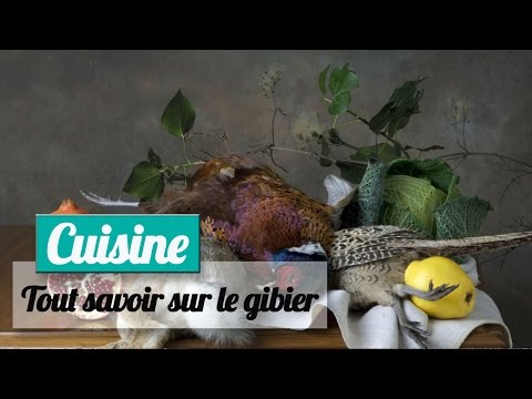 Tout savoir sur le gibier