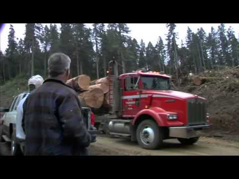 Clear Cut: The Story of Philomath Oregon (Trailer)