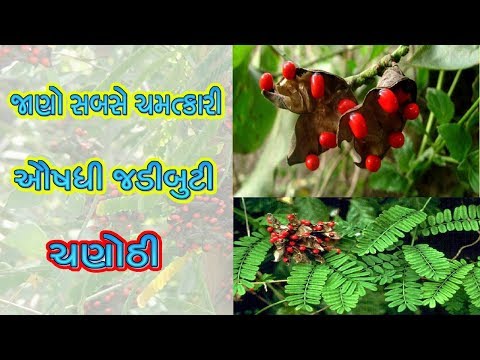 download lagu mp3 mp4 Chanothi, download lagu Chanothi gratis, unduh video klip Chanothi