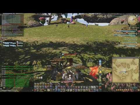 FFXIV Miraga - Waffle the popular Billionaire