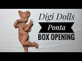 Digi Dolls Ponta MSD BJD Box Opening