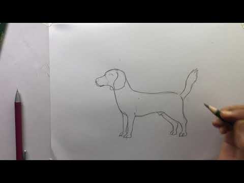 Drawing for Beginners Step by Step | Day 011 Part 1 | Basic Pencil Shading Technique Part 1