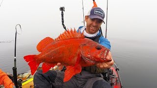 Kayak Fishing: Red Rockfish in the Fog | #FieldTrips Ep 6