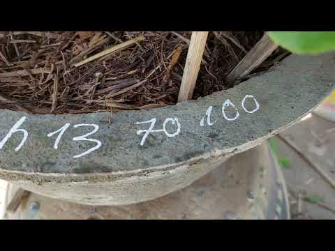 21/7 gl cả nhà cây thác đổ dảo rin đọt đỏ giá 900k lhsđth 0898155372