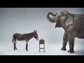 Hollywood Edge Elephant Sound Effects