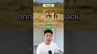 Download lagu Should These EXTINCT Animals Return? mp3