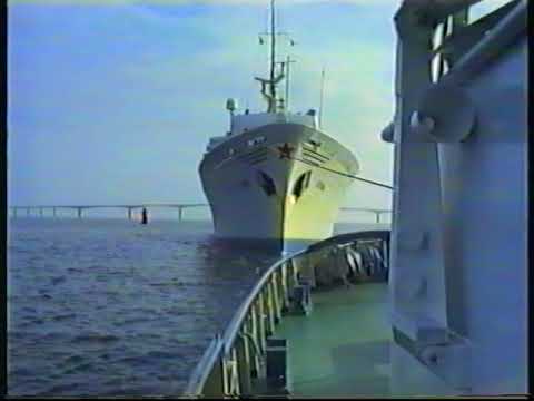 Bogsering med Pampus på 80 Talet