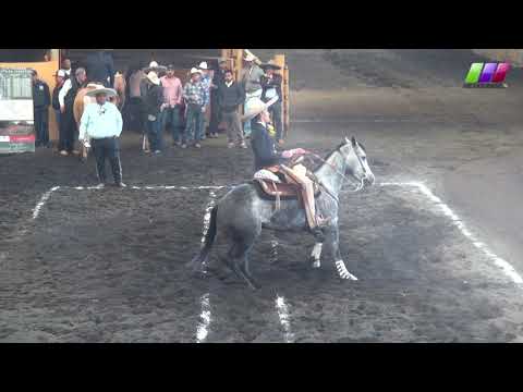 DLM278 080220 Bloque 2 - 10 XIV Caladero Amateur -AVC- Carlos Julián Mier Díaz