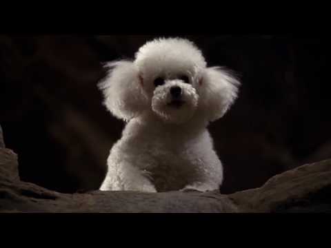 download lagu mp3 mp4 The Silence Of The Lambs 1991 Subthai, download lagu The Silence Of The Lambs 1991 Subthai gratis, unduh video klip The Silence Of The Lambs 1991 Subthai