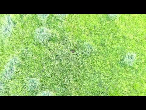 2021-05-22 Entdeckt und abgehauen