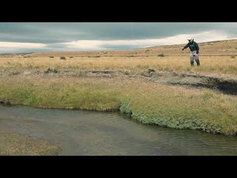 Damselfly fishing at The Route of the Spring Creeks