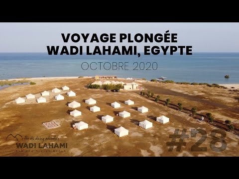 VOYAGE PLONGEE A WADI LAHAMI EN EGYPTE