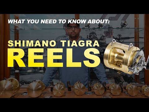 Introduction to Shimano Tiagra Family Reels