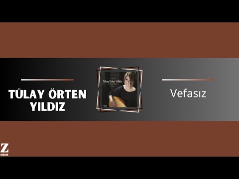 Video Yükleniyor...