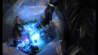 Dumpster Diving Adventure with THE TRANSFORMATIONAL WARRIORS