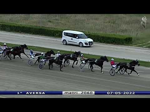 Aversa trotto 7 Maggio 2022 - 1° Corsa